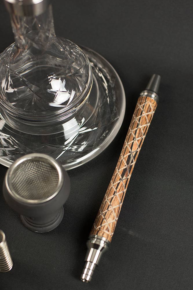 Alligator Reptil Mundstück