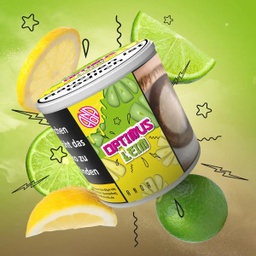 [2100000026555] Anda - Optimus Leim 200g